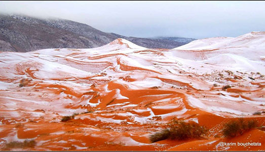 Trump e il miracolo della neve  |